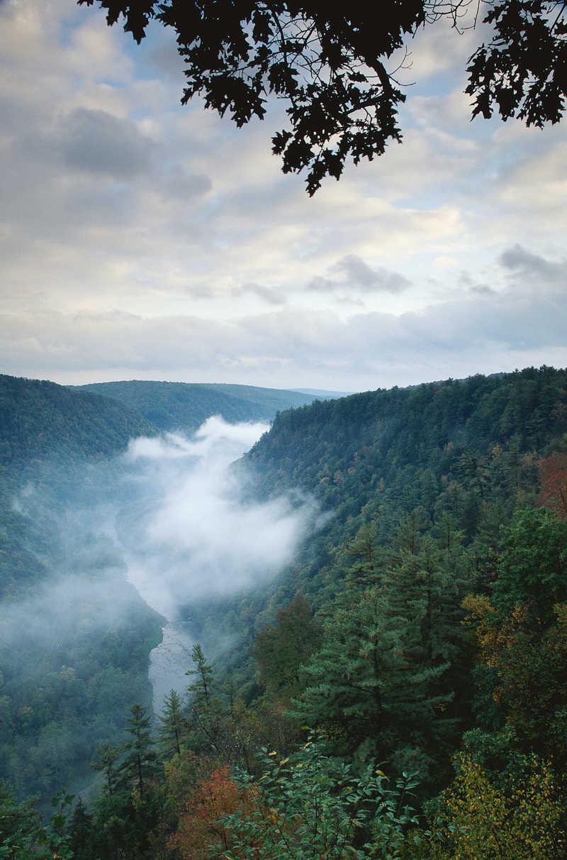 Туман в ущелье лес  туман  горы
