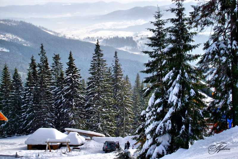 Колыбы горы пейзаж Карпаты лыжи сноуборд горнолыжный
